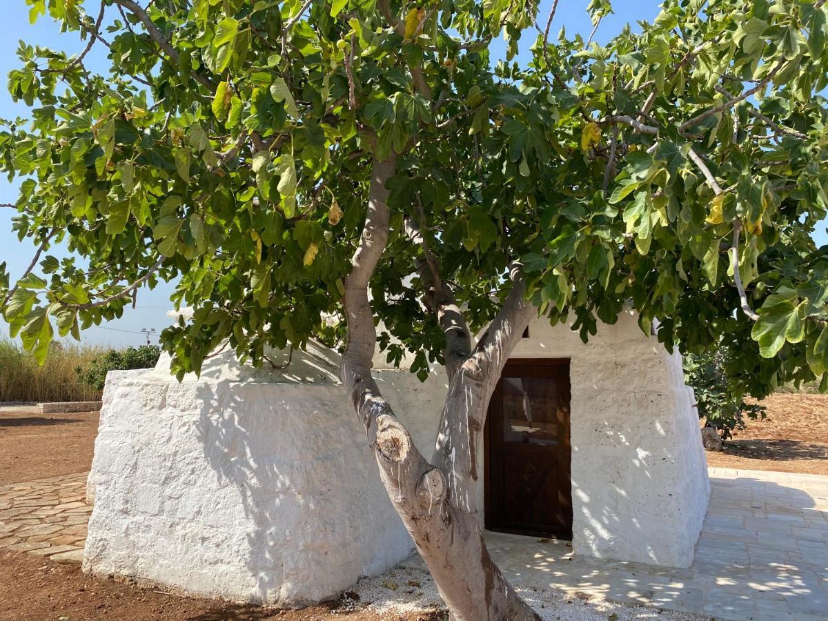 Trullo Seaside Polignano Βίλα Polignano a Mare Εξωτερικό φωτογραφία